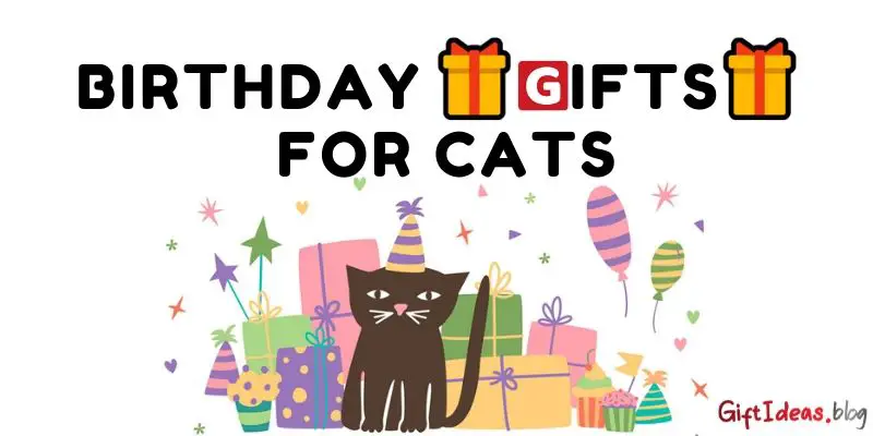 birthday gifts for cats