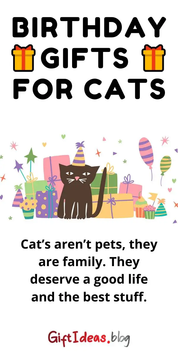 birthday gifts for cats