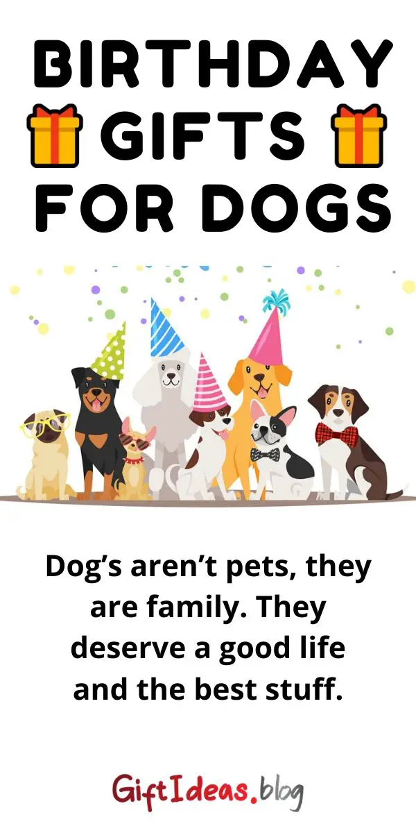 birthday gifts for dogs